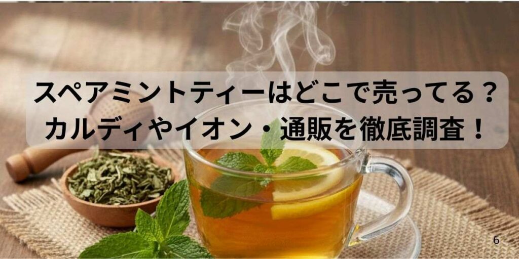 スペアミントティーはどこで売ってる?カルディやイオンなど実店舗と通販を徹底調査!