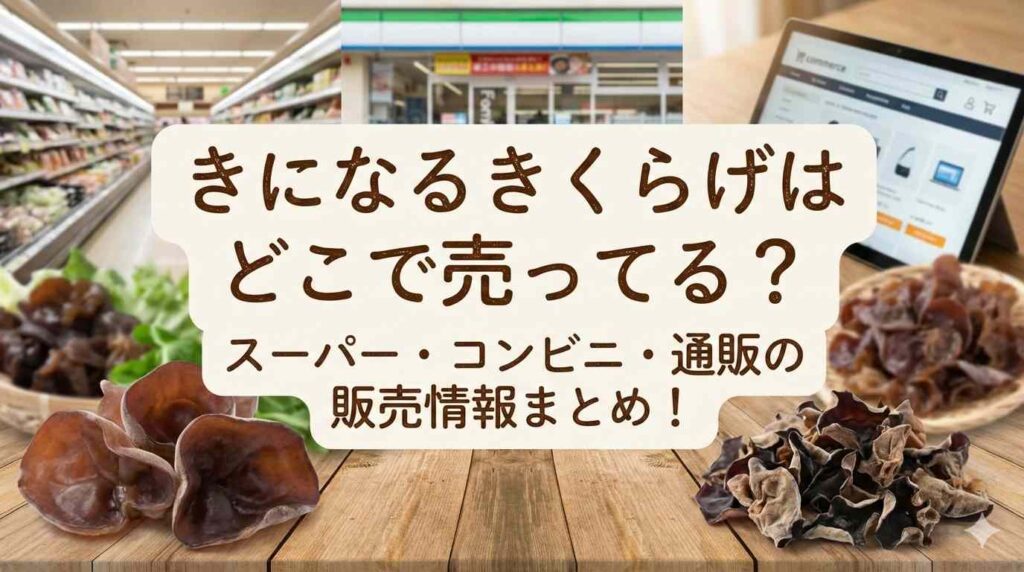 きになるきくらげはどこで売ってる？スーパー・コンビニ・通販の販売情報まとめ！