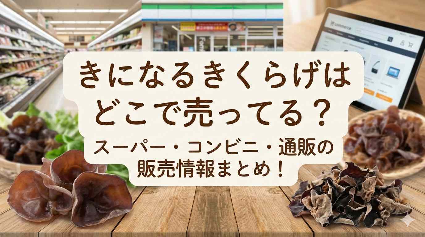 きになるきくらげはどこで売ってる？スーパー・コンビニ・通販の販売情報まとめ！