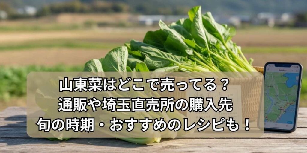 山東菜はどこで売ってる？通販や埼玉直売所の購入先と旬の時期・おすすめのレシピも紹介！
